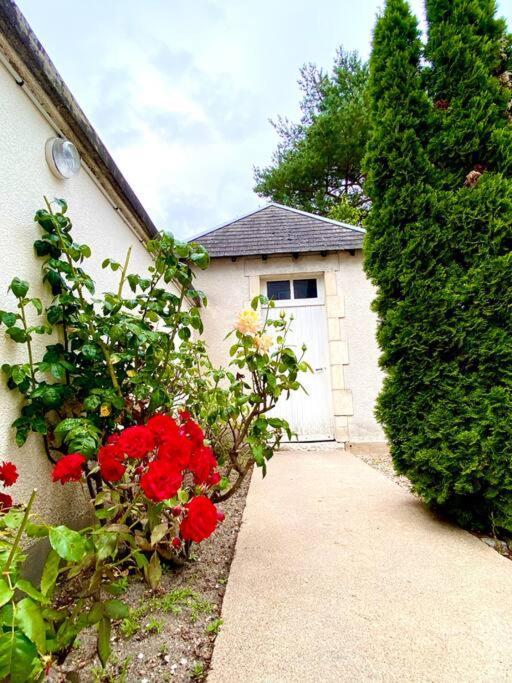 Demeure St Martin Villa Vierzon Exterior photo